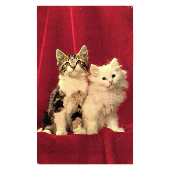 Colourpicture Publishers Other - High Society Cats Postcard Colourpicture Publishers Boston USA Vintage P16401